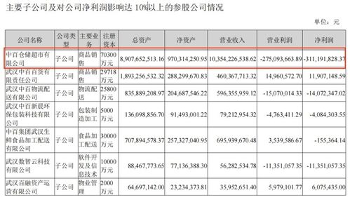 中百仓储 自改 首店,能否成为 武汉胖东来